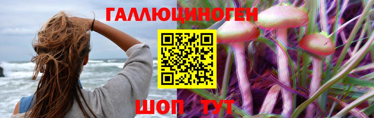 Михайловск  Галлюциногенные грибы MAGIC MUSHROOMS  Вход с VPN 